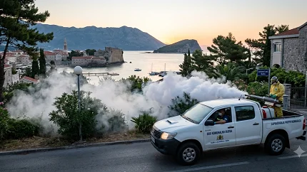 Od srijede četvrti tretman zaprašivanja komaraca u Budvi
