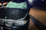 Budvanin sinoć povrijeđen na putu Brajići-Vrela: Vozilom udario kravu