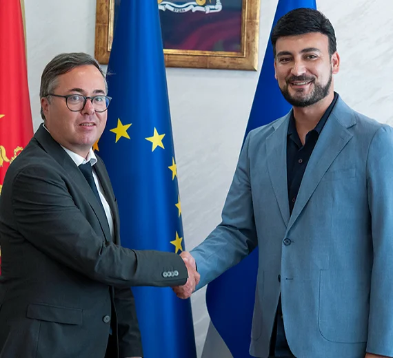Razvojno partnerstvo i evropska perspektiva u fokusu razgovora predsjednika Jovanovića i dr Rojša