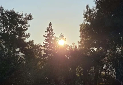 Na snazi narandžasti meteoalarm, danas do 40 stepeni