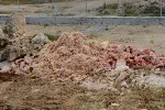 Životinjska groblja omča za poglavlje 12