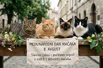Međunarodni dan mačaka