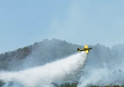 Direktorat za zaštitu i spašavanje MUP-a gasio požare na više lokacija
