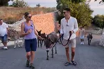 Ekipa RTV Budva zabilježila priču o nesvakidašnjoj atrakciji u zaleđu Bara o kojoj svi pričaju