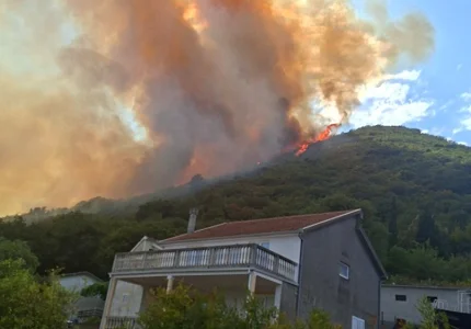 Požar u Novom gase iz vazduha: Jutros bolja situacija, kuće odbranjene