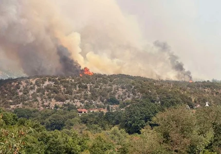 Požar u selima Gač i Klezna u Ulcinju, stigla pomoć iz vazduha