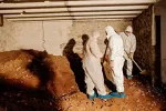 Ponovo oslobođeni svi optuženi u predmetu Tunel