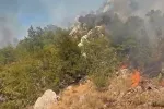 U Ulciju aktivno pet požara