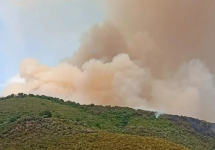 MUP: Aktivni požari u pet opština, najkritičnije u Ulcinju i Herceg Novom