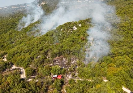 U požarima najviše stradaju mladunci životinja i nadzemni djelovi biljaka
