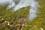 U požarima najviše stradaju mladunci životinja i nadzemni djelovi biljaka