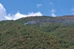 Herceg Novi: Opet gori iznad Đenovića