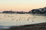 Danas pretežno sunčano, do 37 stepeni