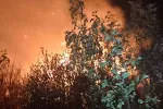 Požar na Bijelim Poljanama danima ne jenjava, vatrogasci i volonteri neprekidno na terenu