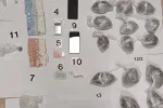 Policija pronašla više od kilograma droge u stanu, uhapšen Kotoranin