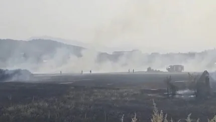 Dva požara u Nikšiću: Vatrogasci spasili kuće, štale, auto plac