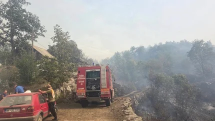 Požar u Katunskoj nahiji: Ugroženo šest kuća
