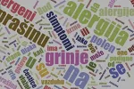 Alergija na grinje nije samo problem doma: savremena terapija i uticaj zagađenog vazduha
