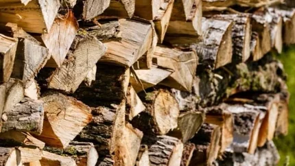 METAR CIJEPANIH DRVA DO 100 EURA: Prodaja u padu zbog klima i solarnih panela