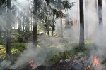 MUP: Situacija na požarištima pod kontrolom, zatražena podrška avijacije u četiri opštine