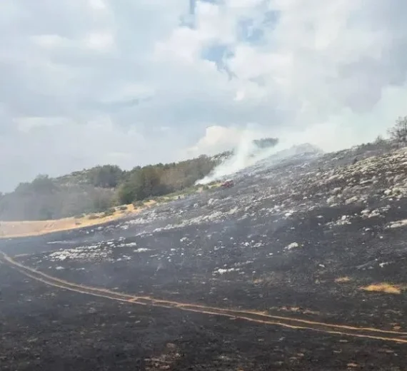 U okolini Nikšića i dalje gori na više lokacija, vatrogasci na izmaku snaga