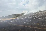 U okolini Nikšića i dalje gori na više lokacija, vatrogasci na izmaku snaga