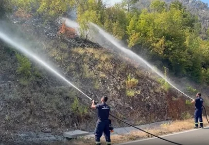 Požari aktivni u više opština, zatražena pomoć iz vazduha za Crni Vrh