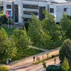 Upravni odbor donio odluku o raspisivanju izbora za rektora UCG