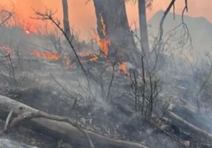 Ponovo gori Golo brdo kod Sutomora