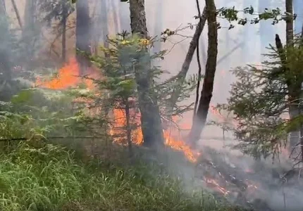 Požar na lokalitetu Bojišta kod Pljevalja se razbuktao