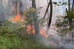 Požar na lokalitetu Bojišta kod Pljevalja se razbuktao
