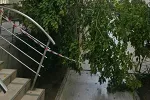 Apel službama da uklone nakrivljenu granu blizu Starog grada