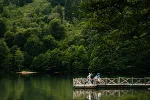 Međunarodni dan prašuma