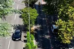 Podgorica: Počelo uklanjanje plastičnih stubića na Bulevaru Stanka Dragojevića