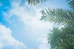 Sjutra pretežno sunčano, do 30 stepeni