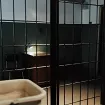 U Istražnom zatvoru 151 pritvorenik štrajkuje glađu