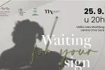 Koncert Festivalskog orkestra Crne Gore u petak u Muzičkom centru