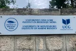 Međunarodna konferencija o zaštiti biodiverziteta Jadrana u Kotoru od 22. septembra