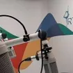 Program Radio Budve za danas 