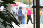 Nevakcinisano 13 odsto školske populacije, u Budvi 70 odsto vakcinisane djece