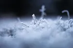 Kosanica jutros najhladnija u Crnoj Gori, temperatura pala na skoro -10 stepeni