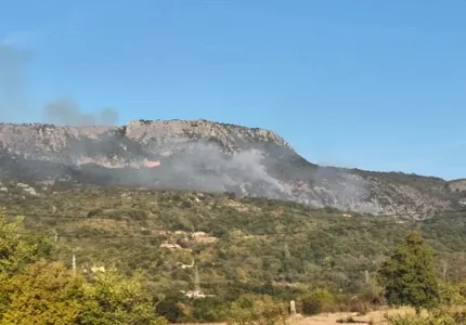 Ponovo aktivan požar u Donjim Crncima, u gašenju učestvuju i avioni