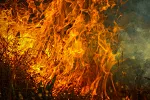 Međunarodni dan smanjenja rizika od katastrofa