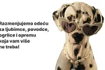 Razmjena opreme za ljubimce u Budvi