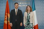 Policijska saradnja važan segment bilateralnih odnosa Francuske i Crne Gore