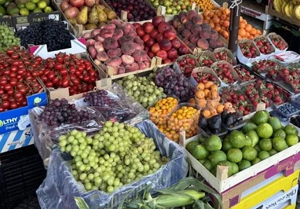 Banka hrane: Nema borbe protiv siromaštva bez prava na hranu i dostojanstvene socijalne zaštite
