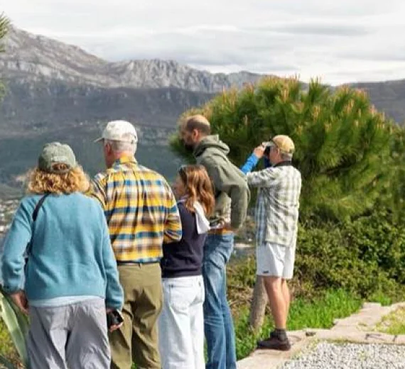 Apel NVU Heal Boka Bay: Hitna zaštita vodnih resursa i preispitivanje potrošnje vode za golf terene na Luštici