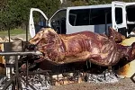 Budva: Komunalna policija kaznila zbog pečenja vola na javnoj površini