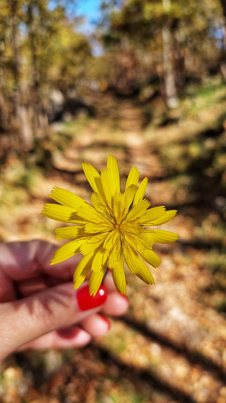 Foto: Portal RTV Budva
