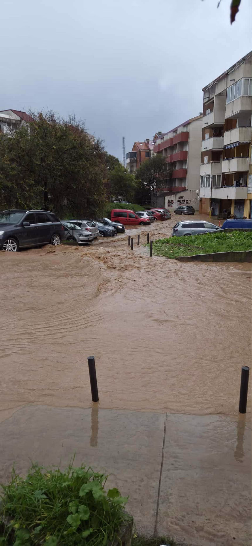 Foto: privatna arhiva